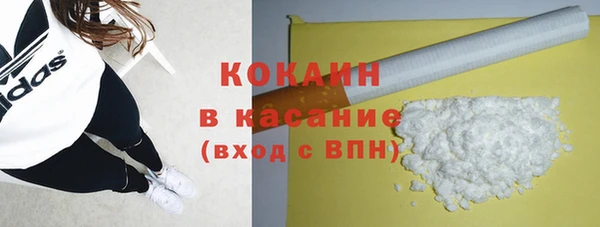 шишки Нея