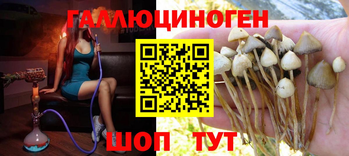 Галлюциногенные грибы Magic Shrooms  Вход с VPN  Тула 